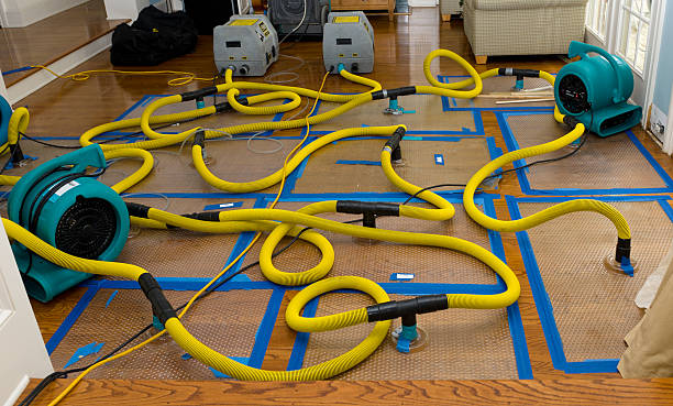 Professional Structural Drying And Dehumidification technician working in Manchester, NH